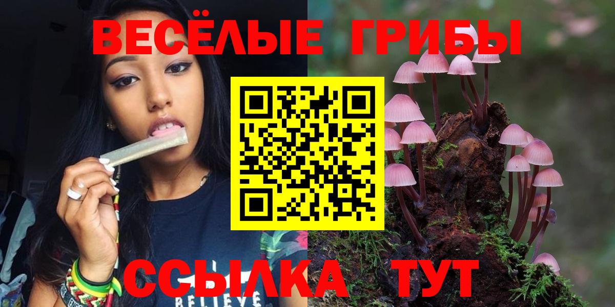 Псилоцибиновые грибы Psilocybine cubensis  Галлюциногенные грибы MAGIC MUSHROOMS  Вход с VPN  Междуреченск 