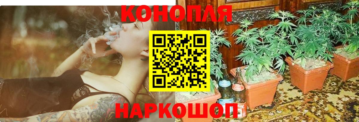 Бошки Шишки AK-47  Бошки Шишки марихуана  Вход с VPN  Бошки марихуана семена  Междуреченск  Канабис Ganja 
